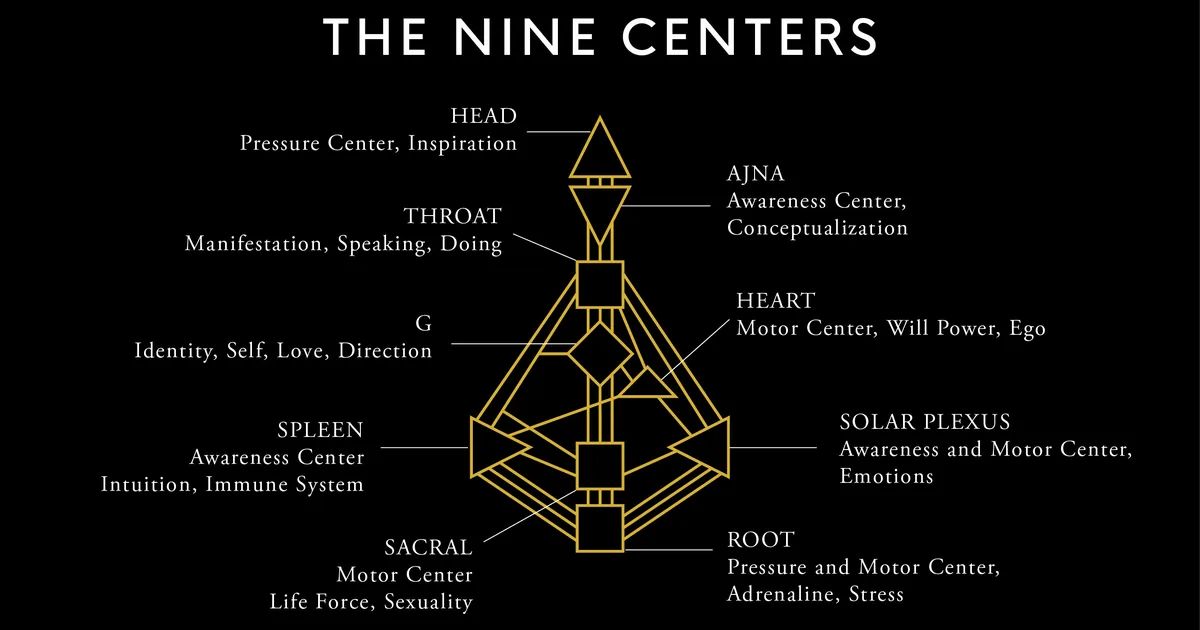 Centers in Human Design: open and defined — how to read your chart