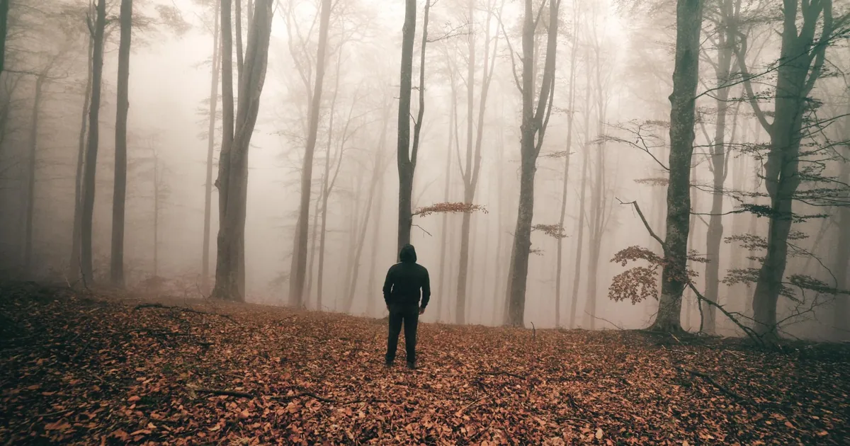 How to develop intuition: exercises for gut feeling and premonitions
