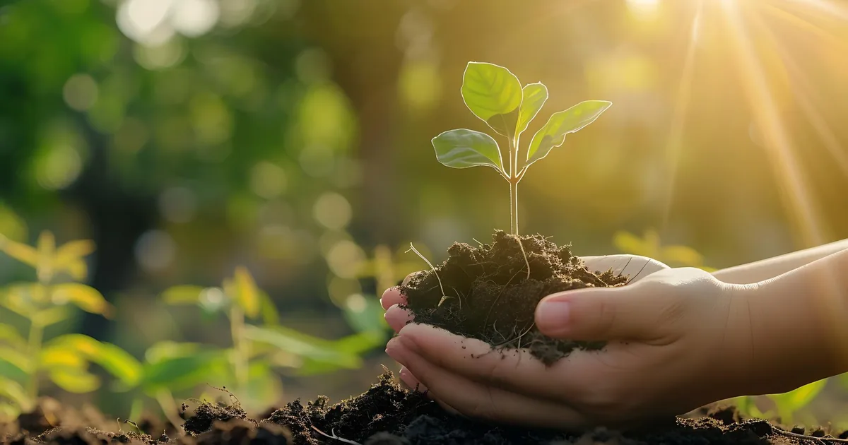 Lunar Sowing Calendar: When to Sow for Germination