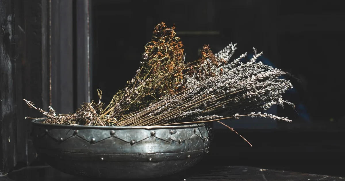 herb magic: 12 protective plants and how to store them