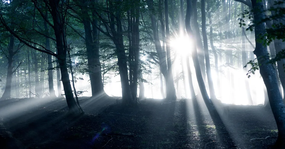 Unholy: how to protect yourself from evil entities and what to do when you encounter them