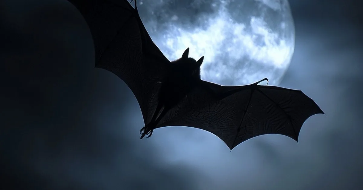 The Occult Meaning of Vampires
