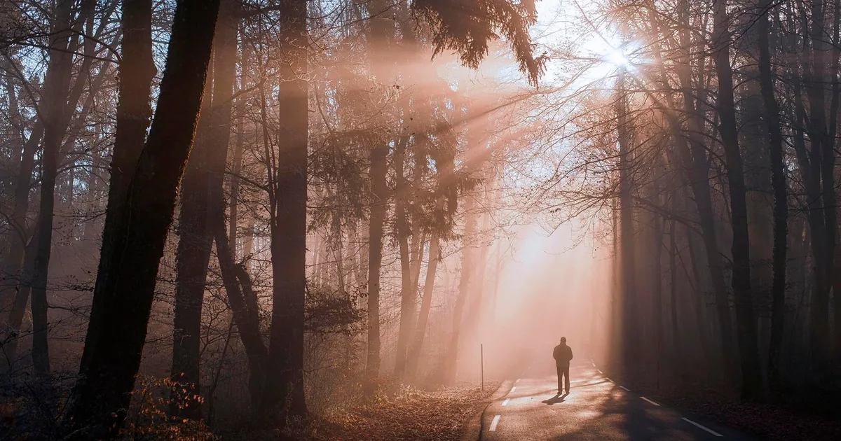 Fate's purpose: what it is and how to find your path