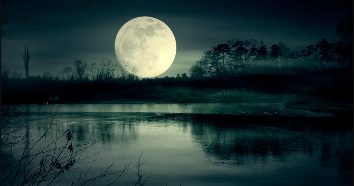 Full Moon: rituals for cleansing and attracting what you desire